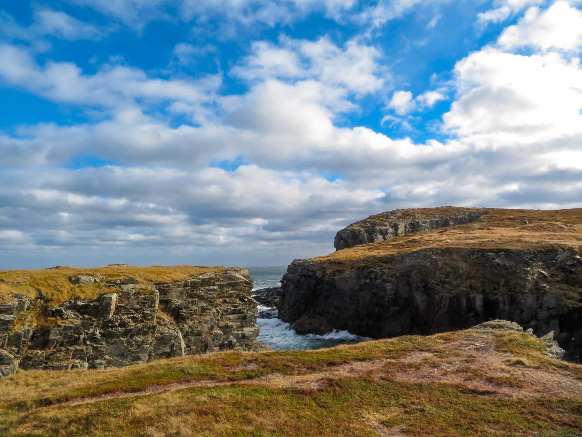 Bonavista Peninsula gets historic nod from UNESCO for 560-million-year-old fossils.