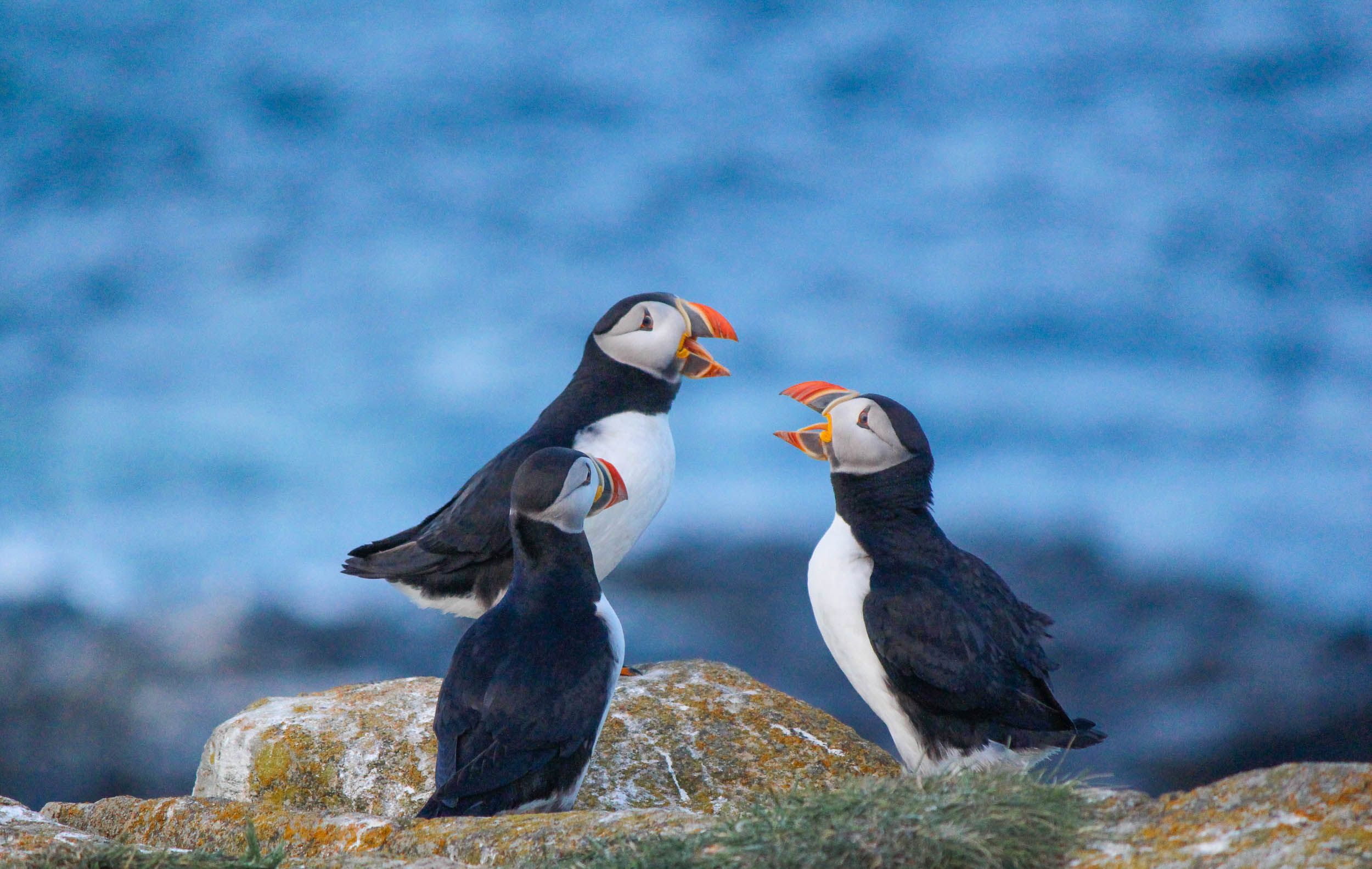 Request Quote - Curamara - Atlantic Canada Tours &amp; Vacation Packages