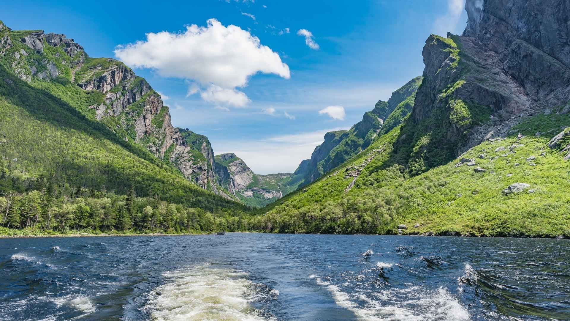 Adrian & Patricia's Vacation