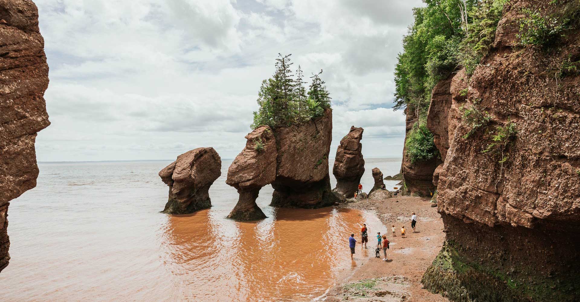 Wonders of the Bay of Fundy - Curamara - Atlantic Canada Tours &amp; Vacation Packages