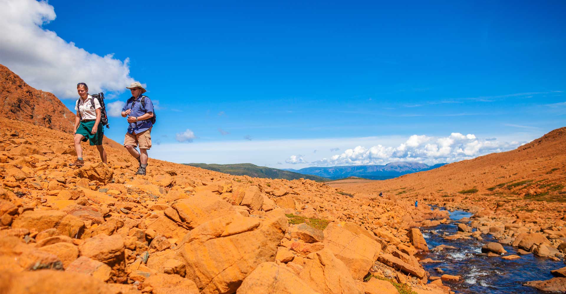 Gros Morne & Beyond