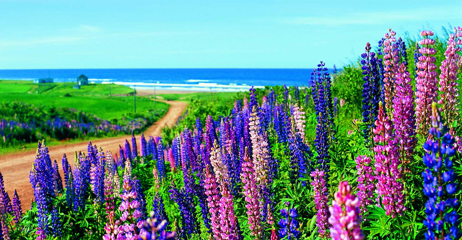 Guided Tours - Curamara - Atlantic Canada Tours &amp; Vacation Packages